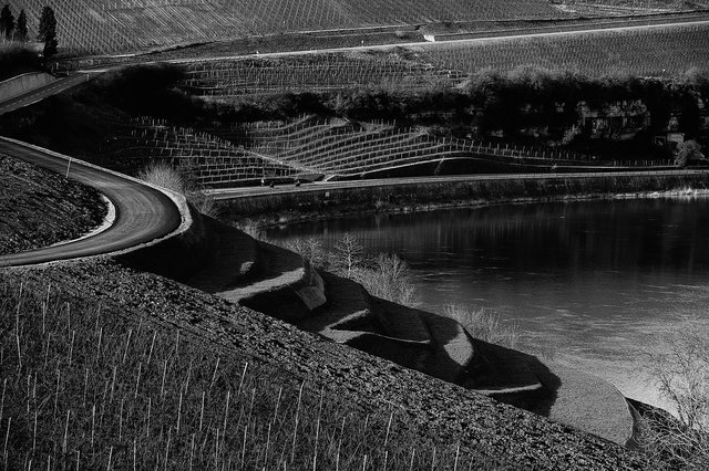 Vignes de la Moselle luxembourgeoise