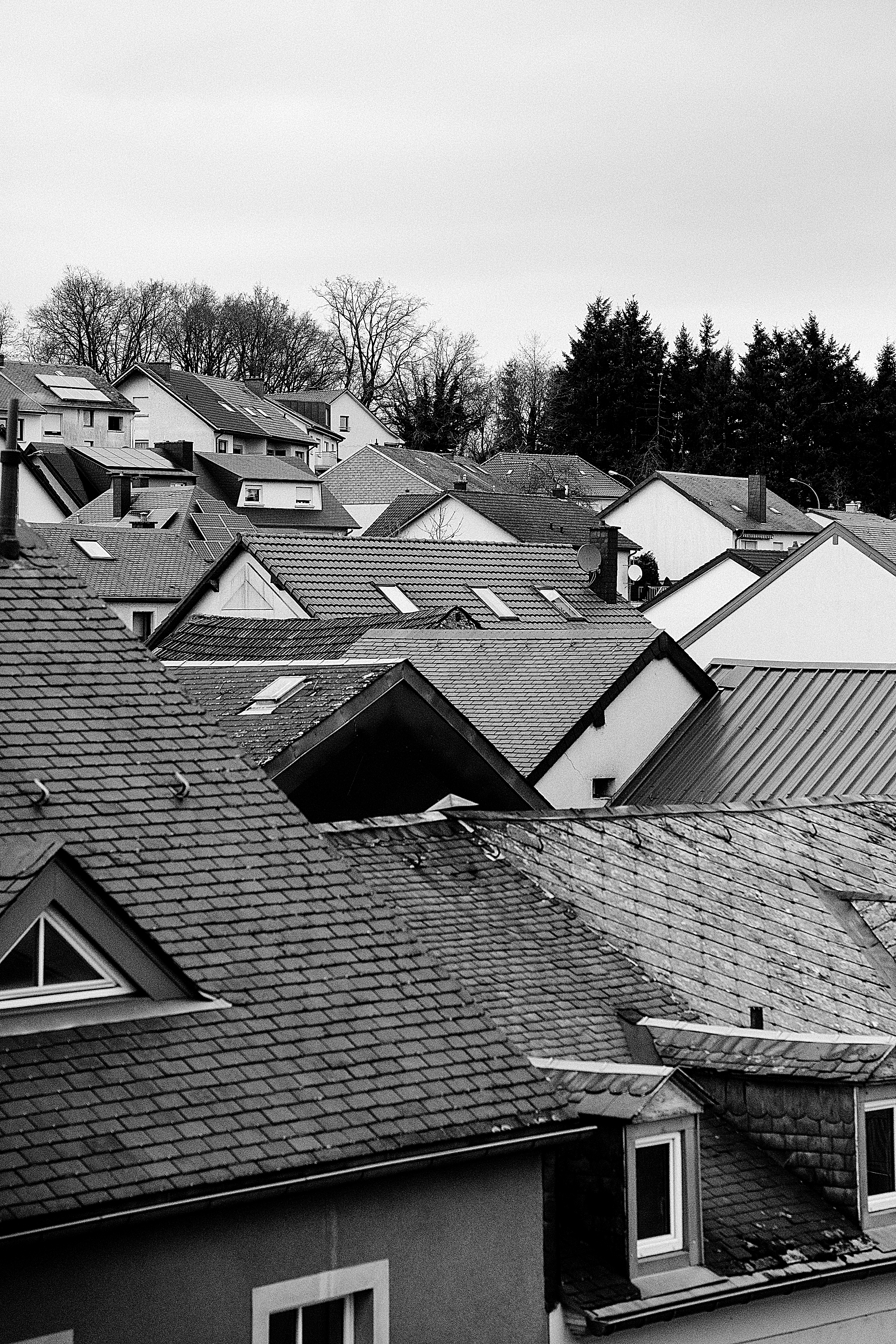 d'Lëtzebuerger Land MY_ISSUE_DATE